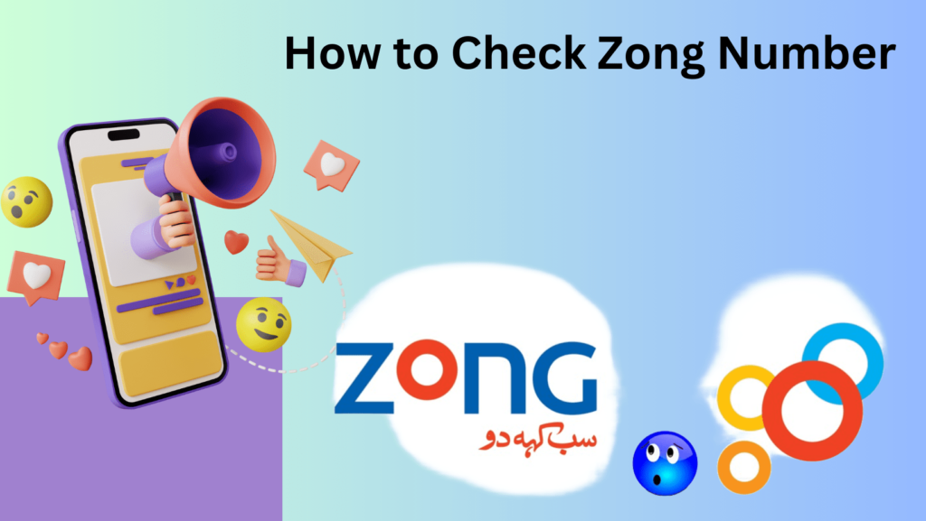 How to Check zong Number ways